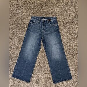 Express Classic Blue Denim Jeans